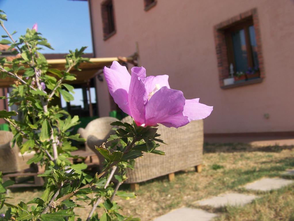 Agriturismo La Nocciolina Venturina Terme Exterior foto